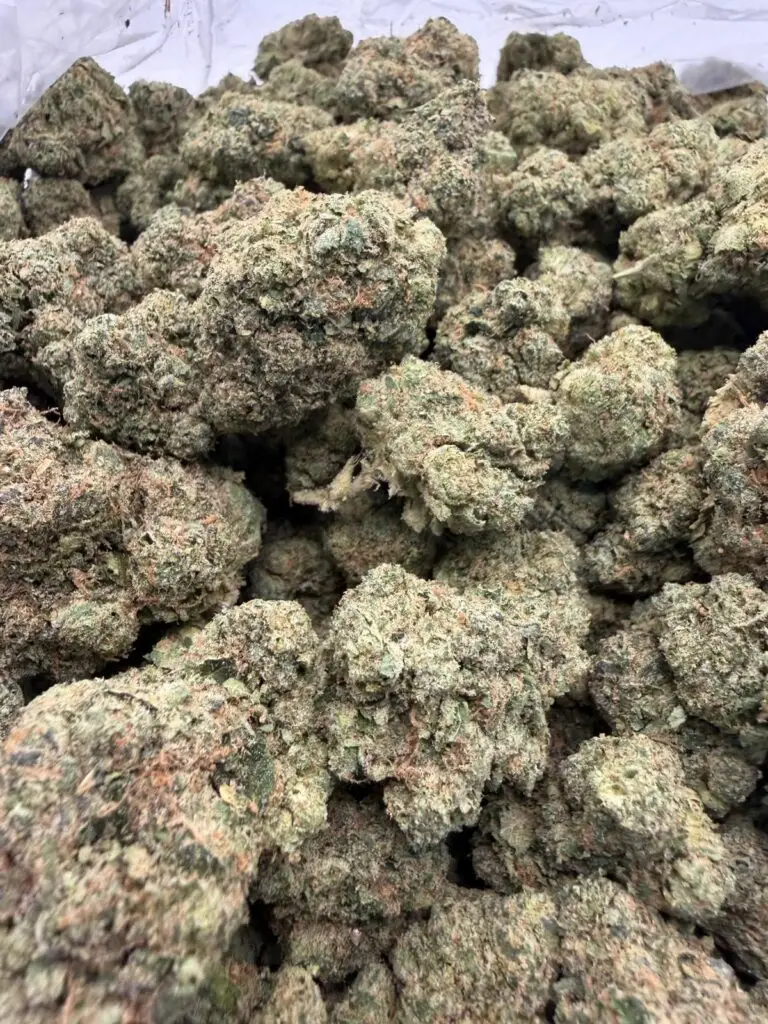 Giraffe Puzzy Strain by Doja